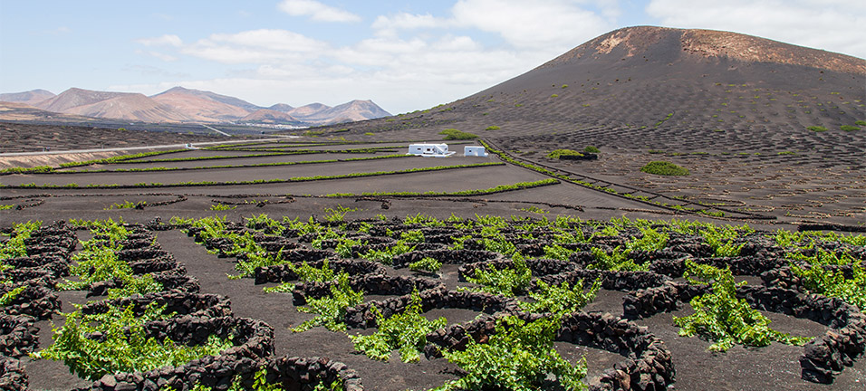 Fondos europeos agrícolas en Canarias