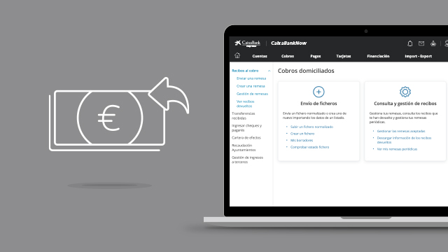 Manage your direct debit remittances