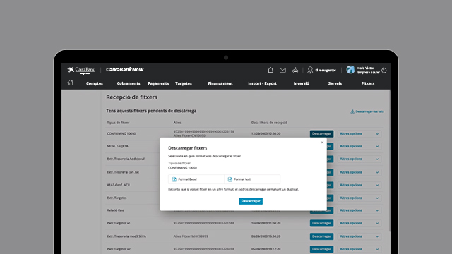 Aprèn a descarregar fitxers a CaixaBankNow